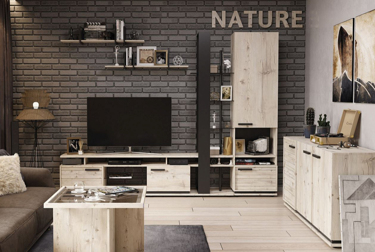 Nature (Натура) 1 (гостиная) Шкаф МЦН